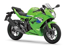 Neumotorrad Kawasaki Ninja 125