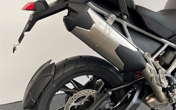 Neufahrzeug Triumph Tiger 1200 GT PRO - Bild 4