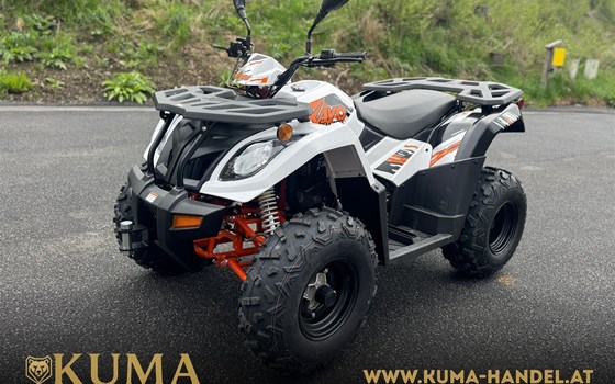 Neufahrzeug Kayo A 300 - Bild 1