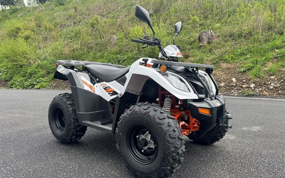 Neufahrzeug Kayo A 300 - Bild 3