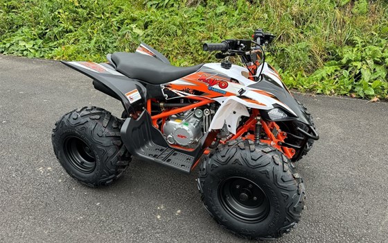 Neufahrzeug Kayo AT 125 - Bild 2