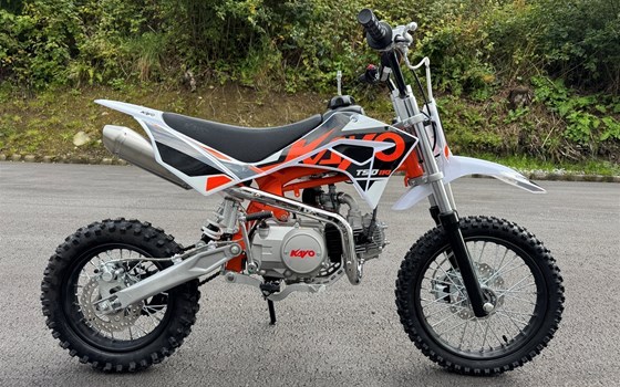 Neufahrzeug Kayo TSD 110 - Bild 3