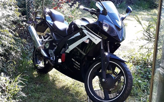 Gebrauchtmotorrad Daelim Roadwin 125 R - Bild 2