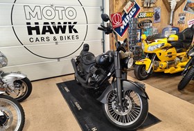 Indian Chief Dark Horse