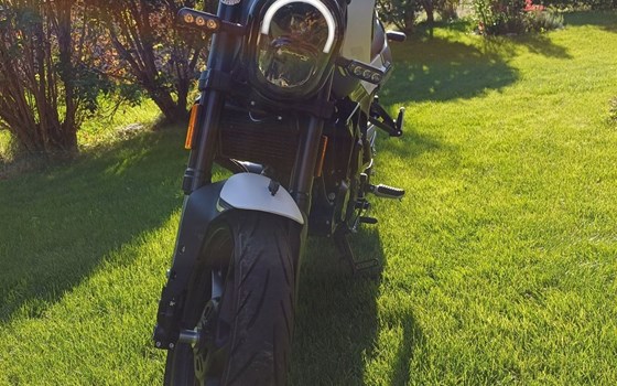 Gebrauchtmotorrad Benelli Leoncino 125 - Bild 3