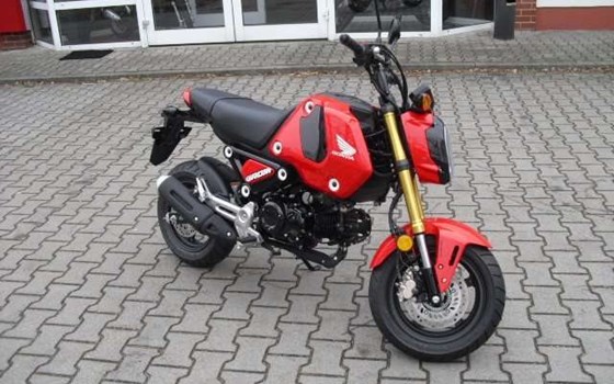 Gebrauchtmotorrad Honda MSX125 Grom - Bild 1
