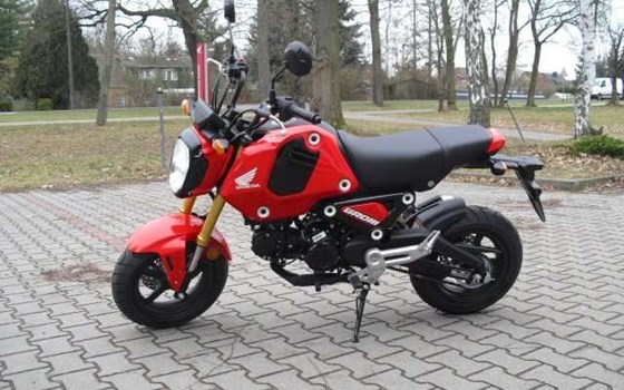 Gebrauchtmotorrad Honda MSX125 Grom - Bild 2