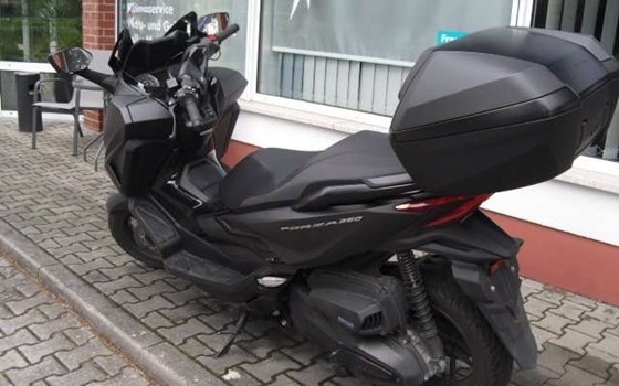 Gebrauchtmotorrad Honda Forza 350 - Bild 3
