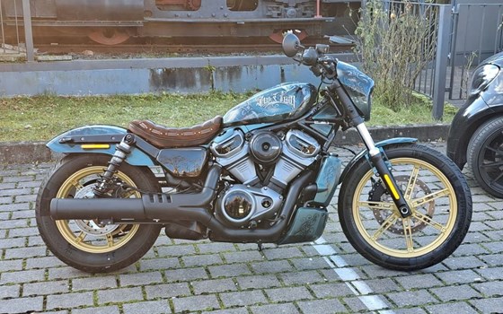 Gebrauchtmotorrad Harley-Davidson Nightster - Bild 1