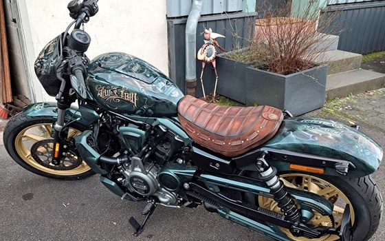 Gebrauchtmotorrad Harley-Davidson Nightster - Bild 5