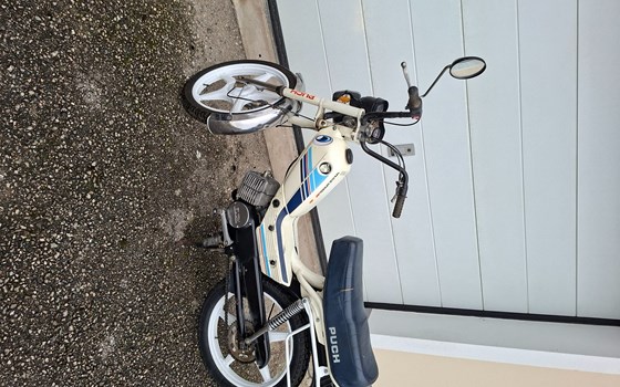 Gebrauchtmotorrad Puch X50-4 - Bild 1