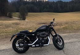 Gebrauchte Harley-Davidson Sportster XL 1200CX Roadster