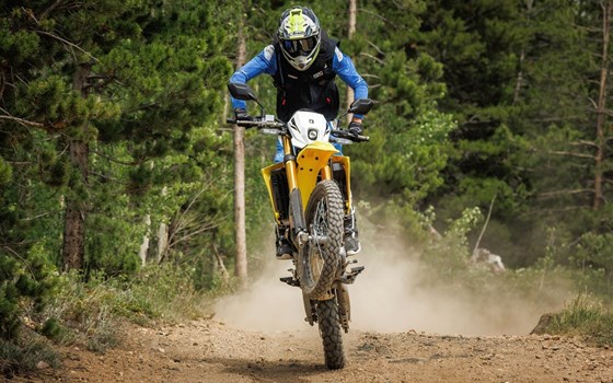 Neufahrzeug Suzuki DR-Z4S - Bild 8