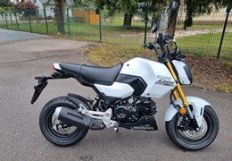 Neumotorrad Honda MSX125 Grom