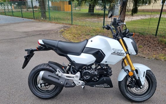 Neufahrzeug Honda MSX125 Grom - Bild 1