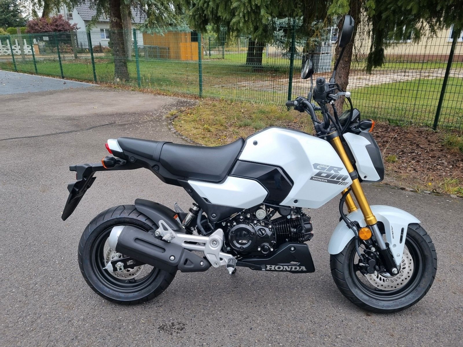 Honda MSX125 Grom