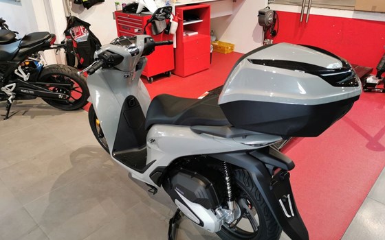 Neufahrzeug Honda SH150i - Bild 6