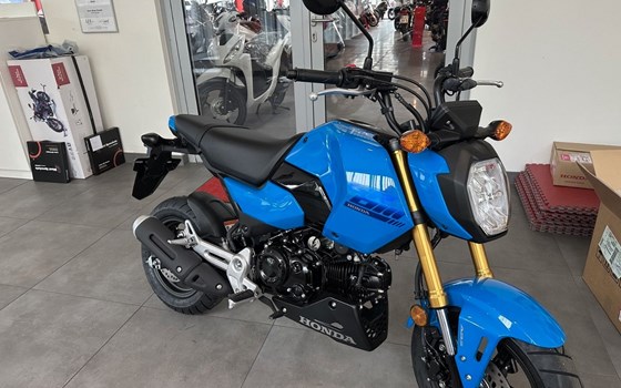 Neufahrzeug Honda MSX125 Grom - Bild 1