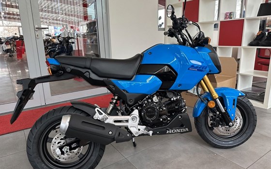 Neufahrzeug Honda MSX125 Grom - Bild 2