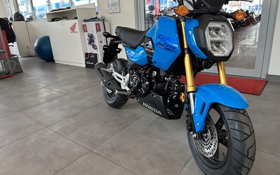 Neufahrzeug Honda MSX125 Grom - Bild 3
