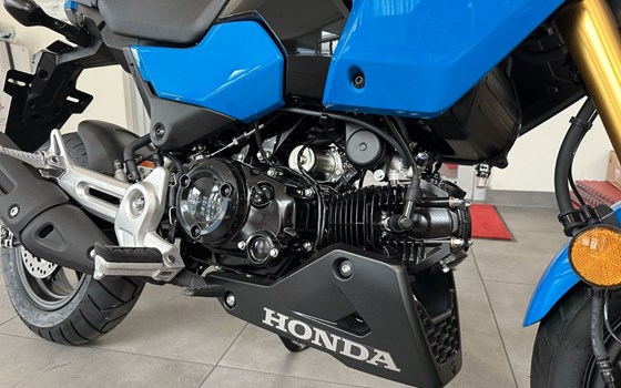 Neufahrzeug Honda MSX125 Grom - Bild 4