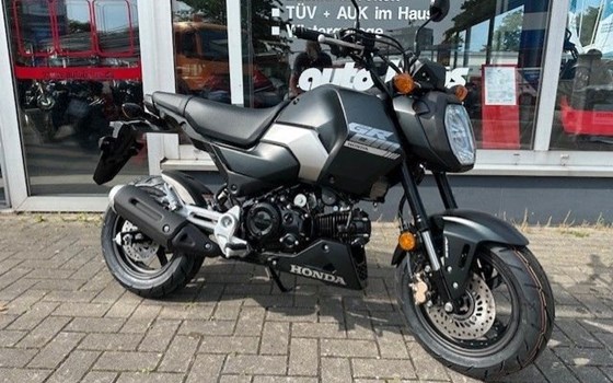 Neufahrzeug Honda MSX125 Grom - Bild 1