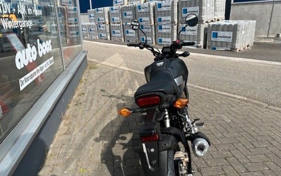 Neufahrzeug Honda MSX125 Grom - Bild 3