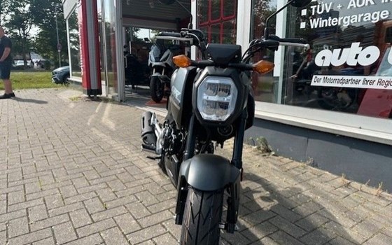 Neufahrzeug Honda MSX125 Grom - Bild 4