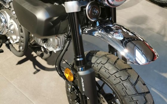 Neufahrzeug Honda Monkey 125 - Bild 13