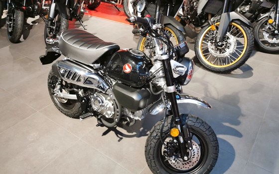 Neufahrzeug Honda Monkey 125 - Bild 2