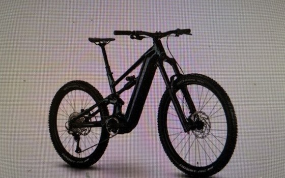 Neufahrzeug Raymon Trailray 180 Ultra - Bild 3