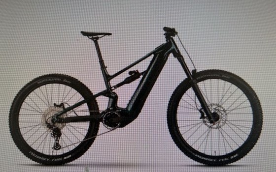 Neufahrzeug Raymon Trailray 180 Ultra - Bild 4