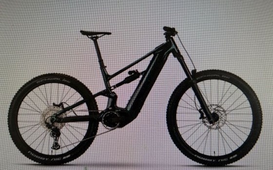 Neufahrzeug Raymon Trailray 180 Ultra - Bild 6