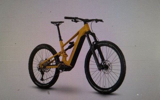 Neufahrzeug Raymon Trailray 180 Ultra - Bild 3