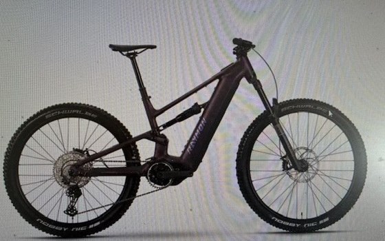 Neufahrzeug Raymon Trailray 180 Ultra - Bild 5