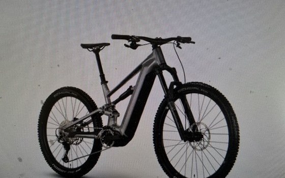 Neufahrzeug Raymon Trailray 180 Ultra - Bild 3