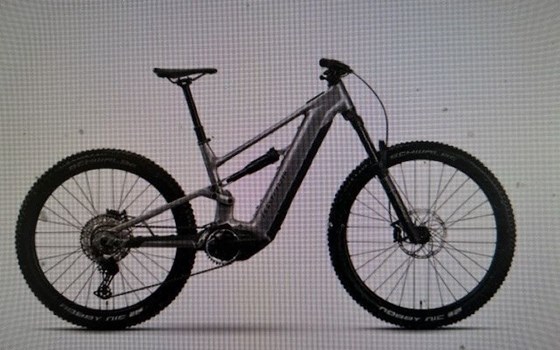 Neufahrzeug Raymon Trailray 180 Ultra - Bild 4