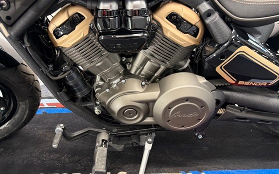 Neufahrzeug Benda Napoleonbob 500 - Bild 3