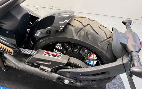 Neufahrzeug Benda Napoleonbob 500 - Bild 4