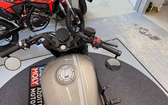 Neufahrzeug Benda Napoleonbob 500 - Bild 8