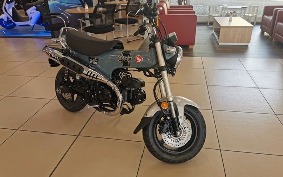 Gebrauchtmotorrad Honda Dax 125 - Bild 2