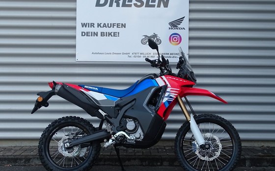 Neufahrzeug Honda CRF300 Rally - Bild 1