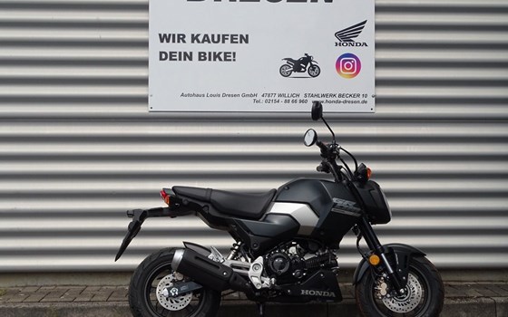 Neufahrzeug Honda MSX125 Grom - Bild 1