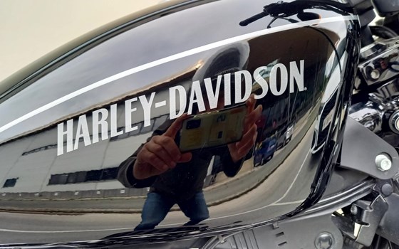 Gebrauchtmotorrad Harley-Davidson Sportster XL 1200 N Nightster - Bild 6