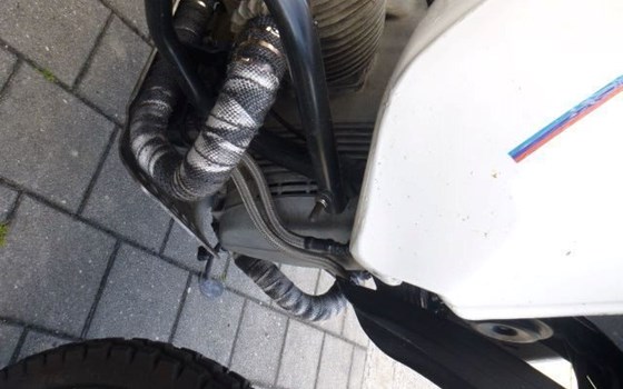 Gebrauchtmotorrad BMW R 80 G/S - Bild 5