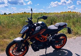 Gebrauchte KTM 125 Duke