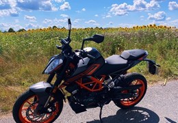 Gebrauchte KTM 125 Duke