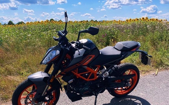 Gebrauchtmotorrad KTM 125 Duke - Bild 1