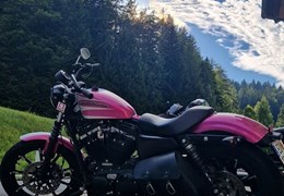 Gebrauchte Harley-Davidson Sportster XLH 883