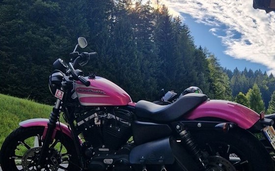 Gebrauchtmotorrad Harley-Davidson Sportster XLH 883 - Bild 1